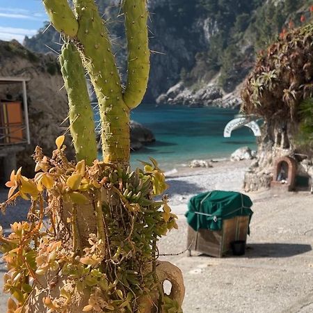 Capri Magic House On The Beach Exterior photo